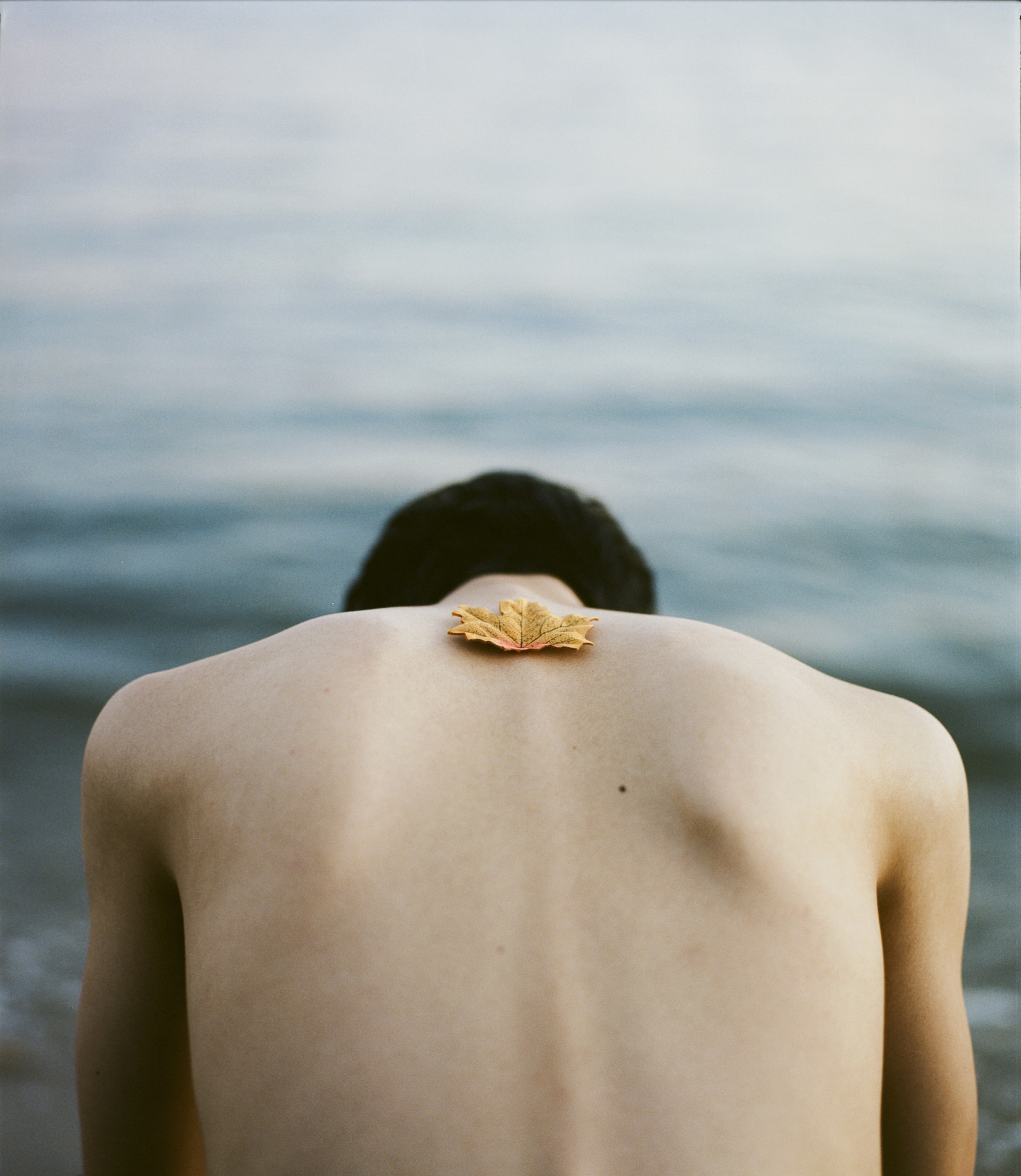 A leaf resting on the back of person wearing no shirt